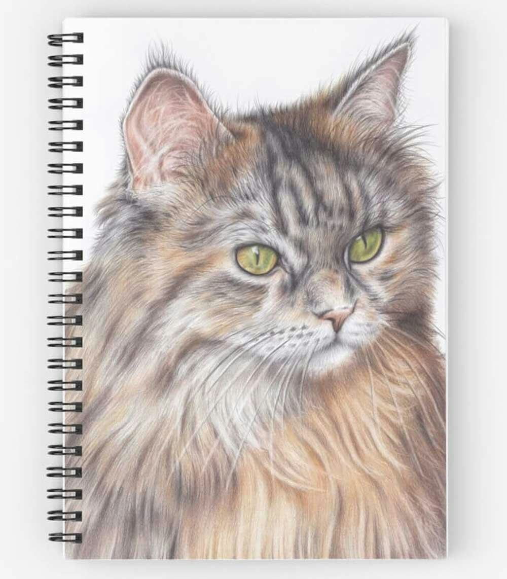 dibujo de gato realista con lapices de colores