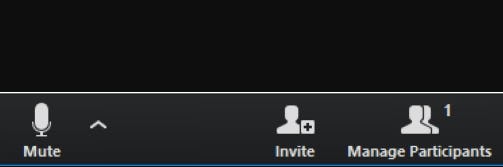 Silenciar micrófono grabación Zoom