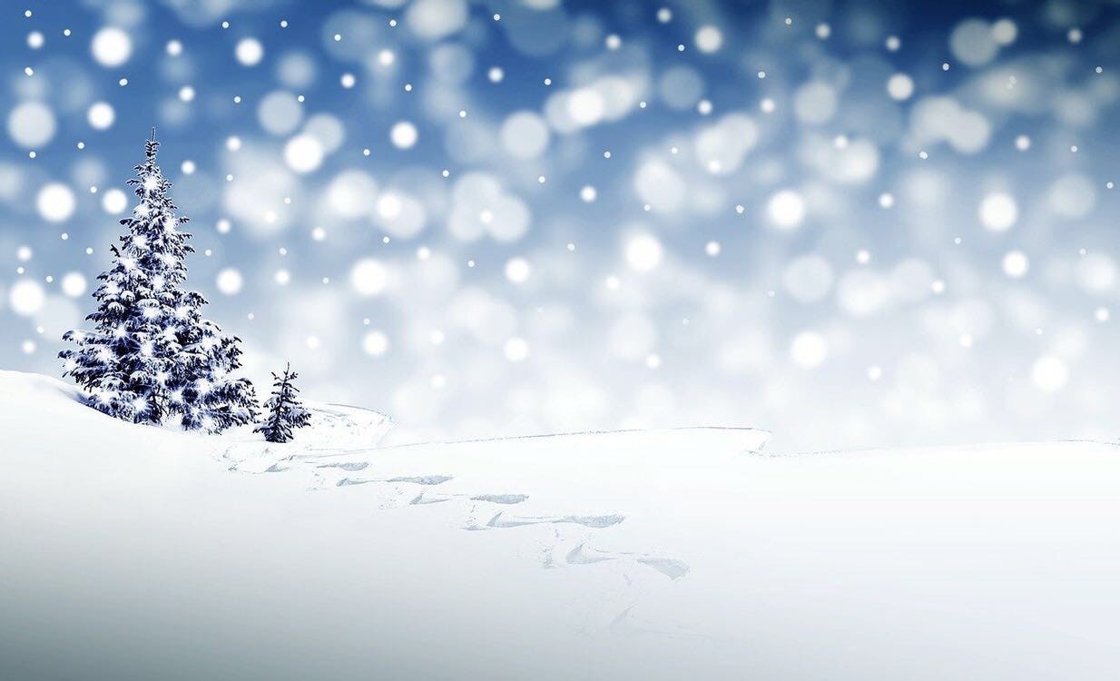 Nieve y árbol de navidad
