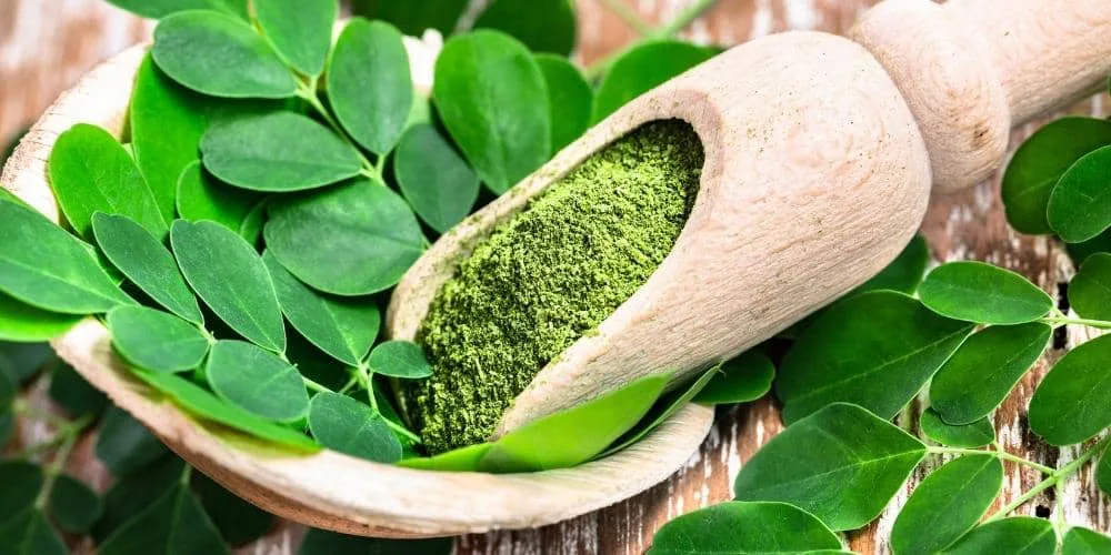 Moringa superalimentos