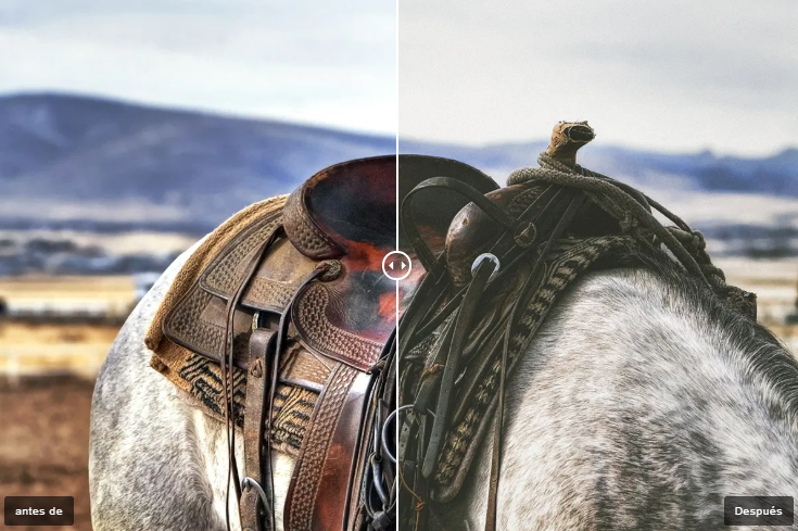 preset para lightroom mobile