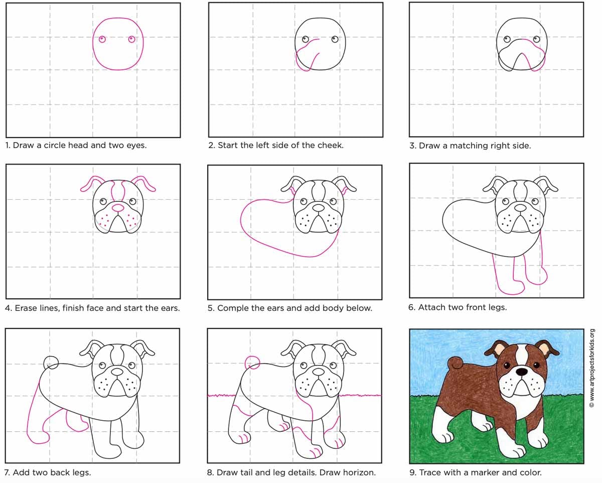 ¿Cómo dibujar la cara de un perro bulldog?