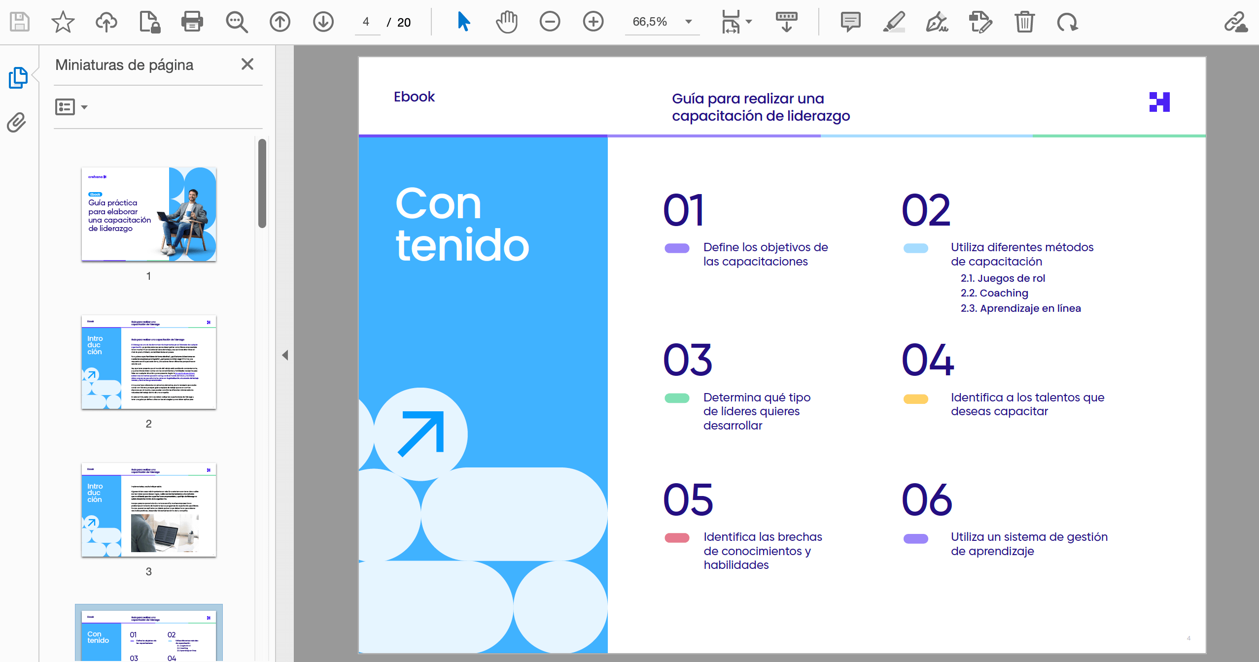 Capacitación de liderazgo