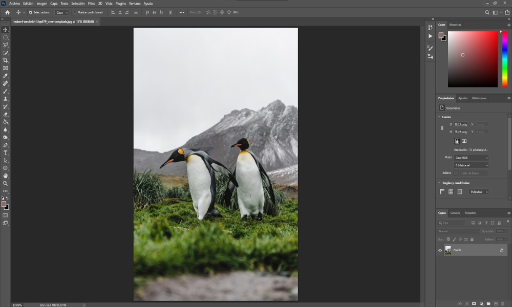 Cómo cambiar los colores de fondo en Photoshop Guía definitiva