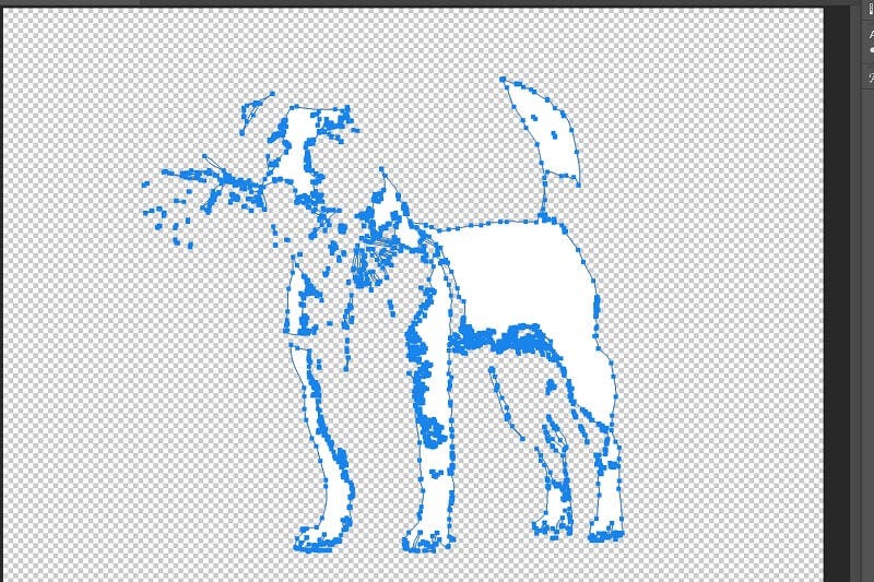 trazado en photoshop