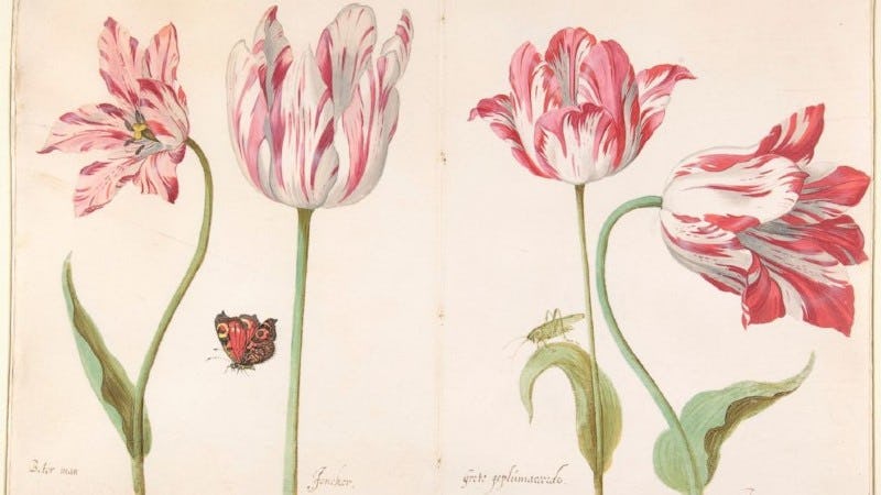 Flores con estilo de acuarela