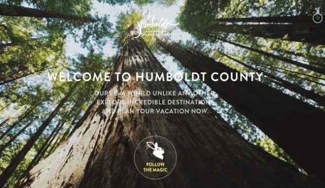 CTA Formulario suscripción