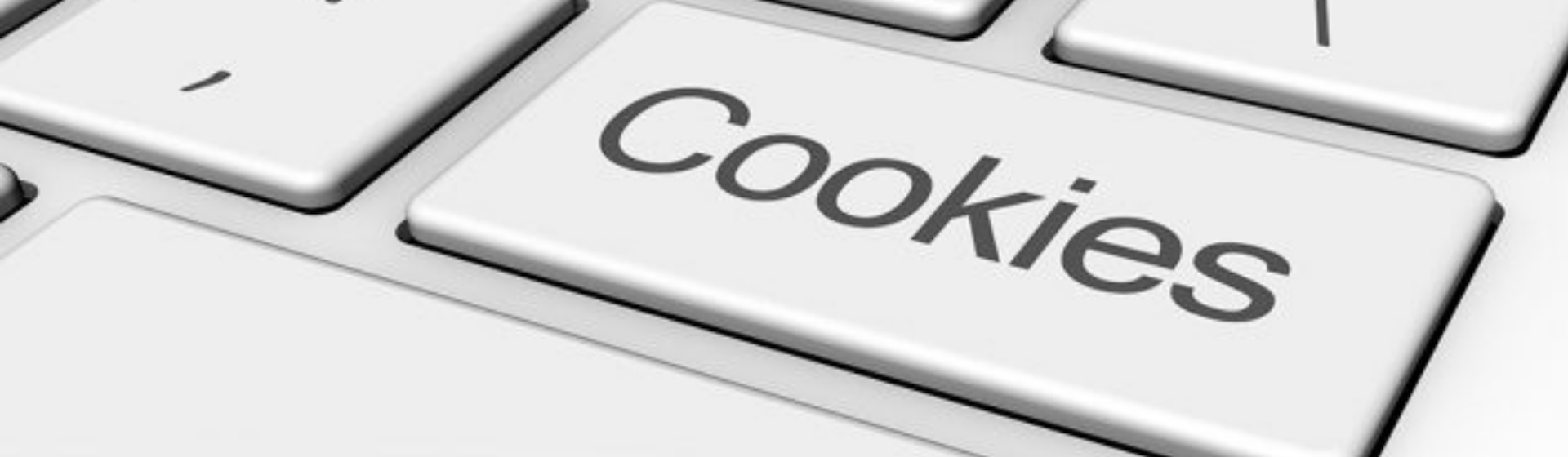 ¿Qué son las cookies de una página web? ¡Conoce todo sobre este recurso!
