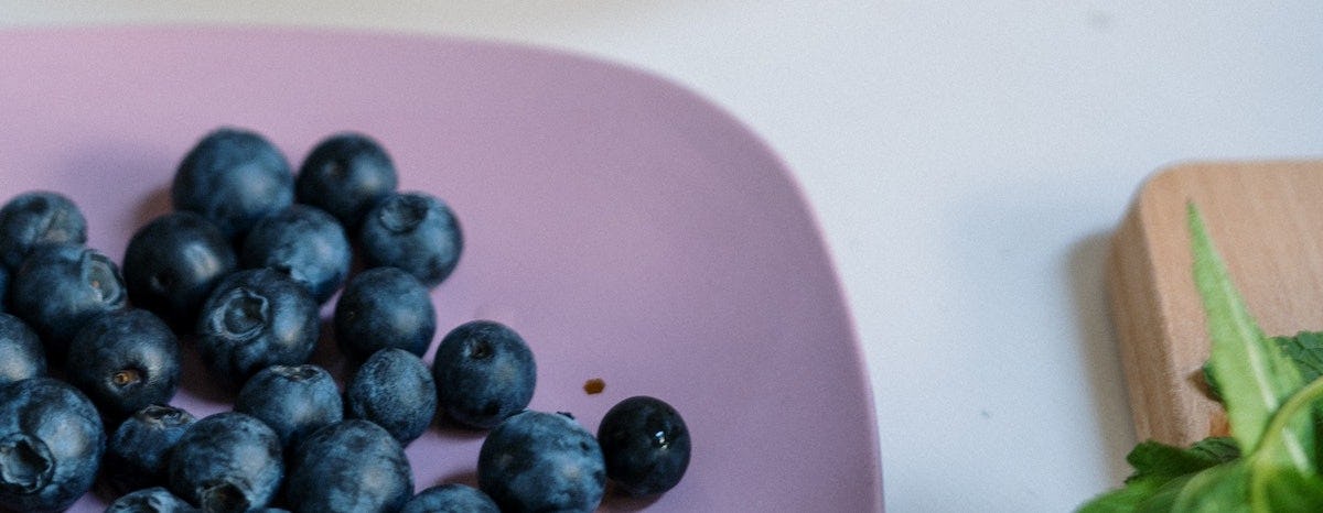 planta medicinal de arandanos