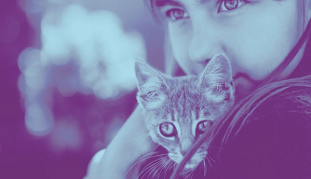 duotono photoshop elements