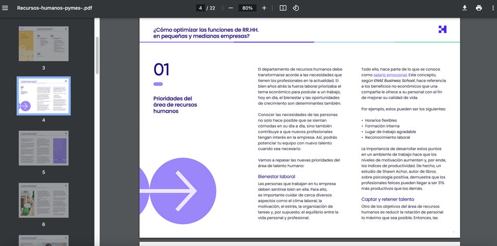 guía de recursos humanos en PYMES