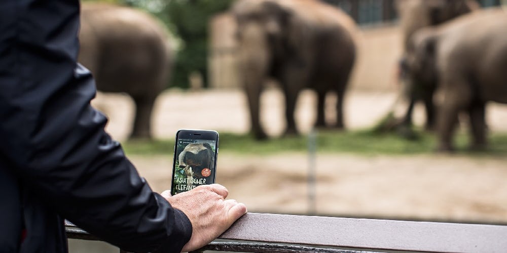 Tipos de Beacon notificaciones