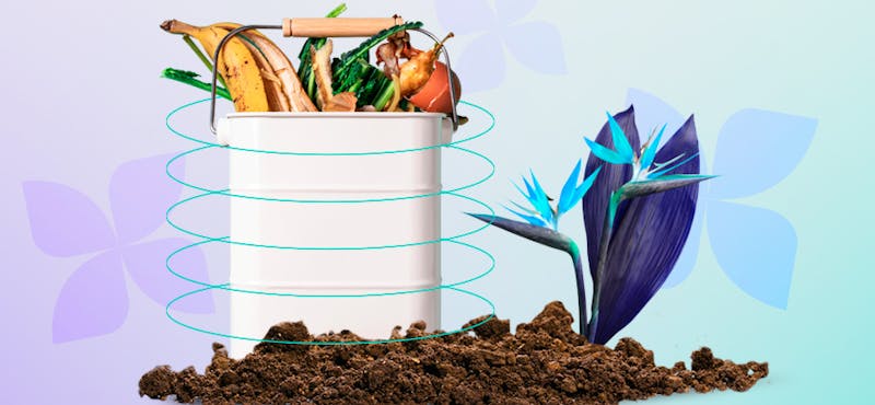 Conoce cómo hacer una composta casera y ¡dale un buen uso a tus residuos orgánicos!