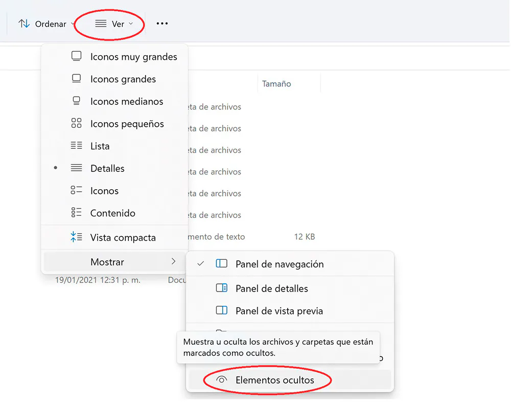 soluciona el fallo de la pantalla negra