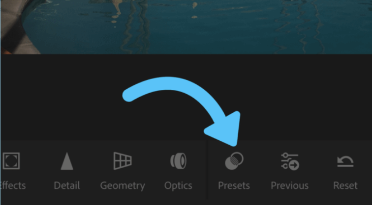 presets lightroom mobile