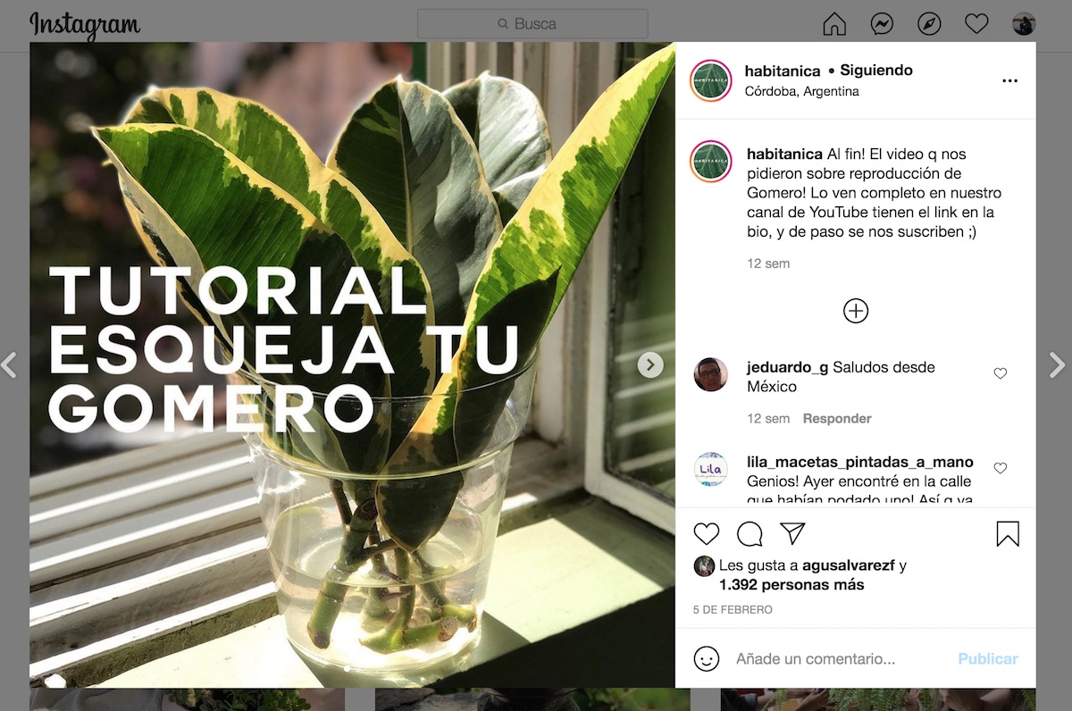 estrategia comunicacion habitanica