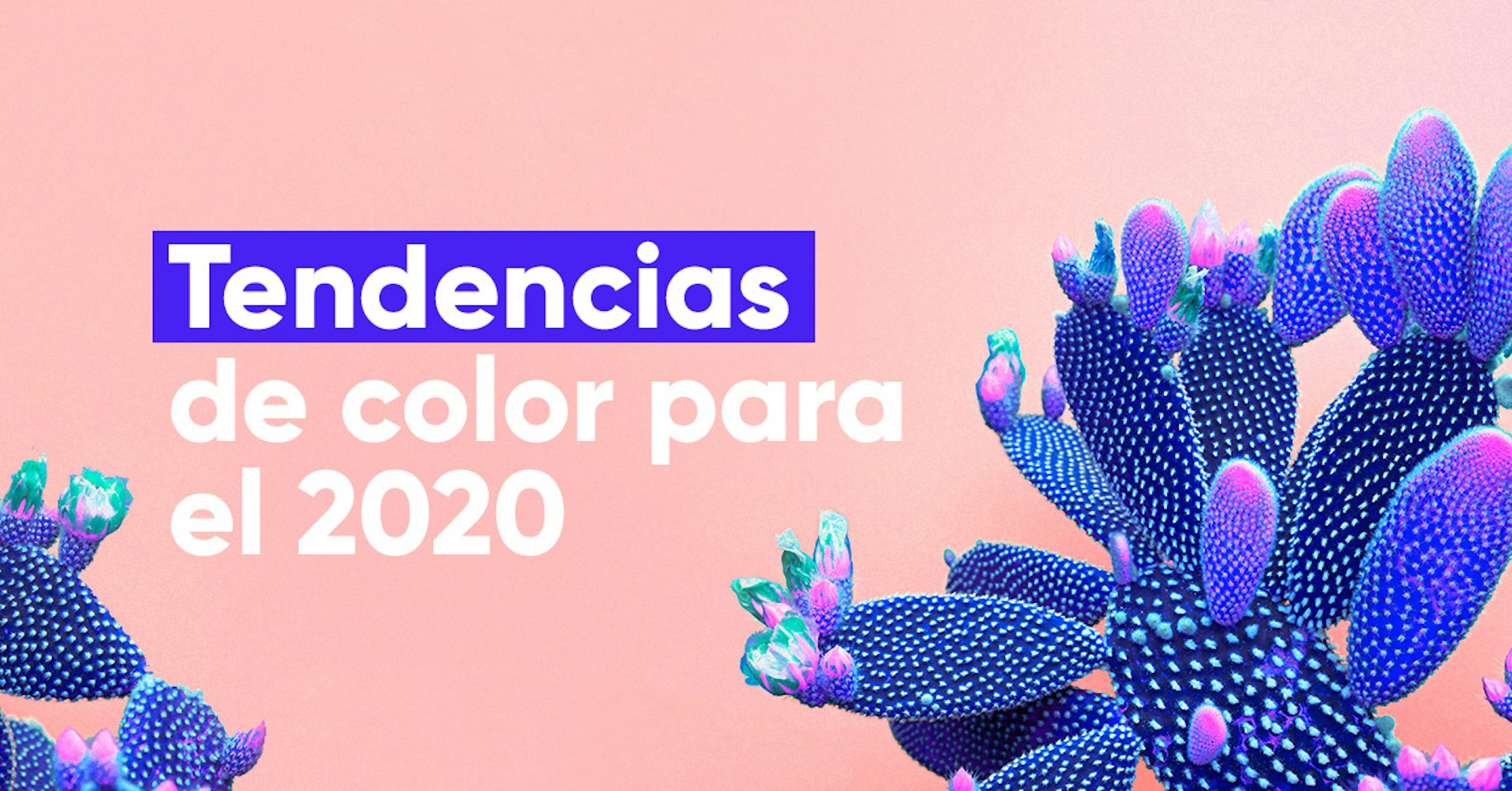 Colores tendencia 2020