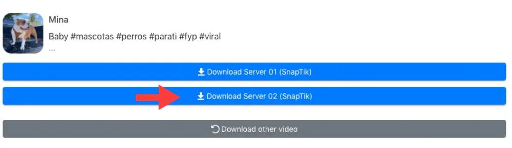 Paso 2 para descargar video de TikTok sin marca de agua desde snaptik.app