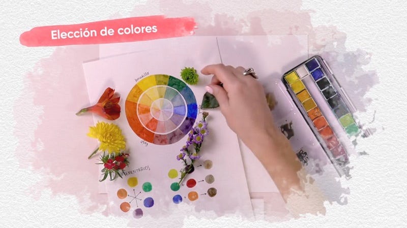 Persona eligiendo colores de ilustración botánica