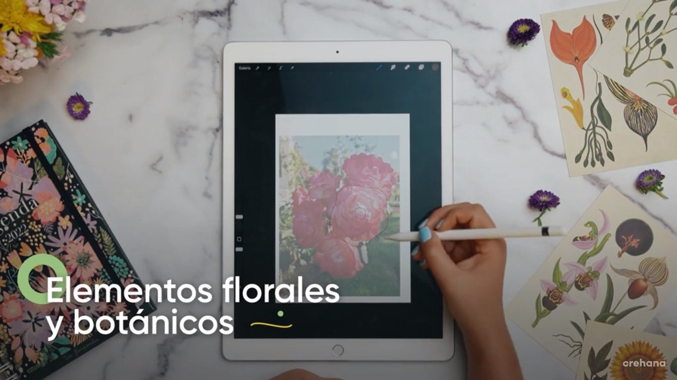 Curso de ilustración botánica de Crehana