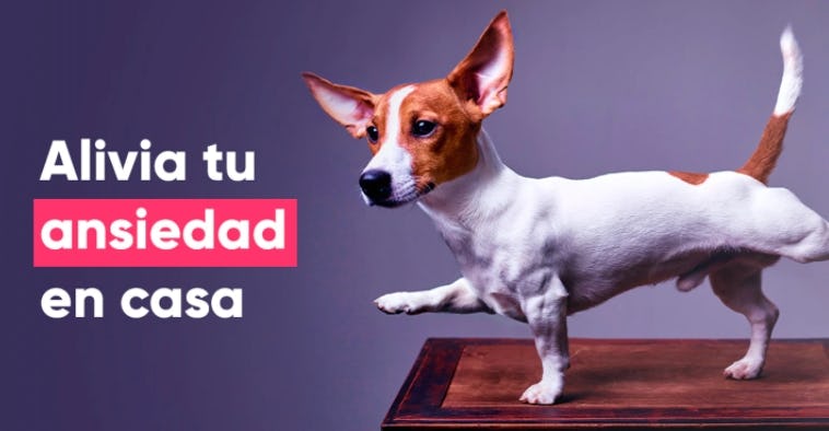 Guía ansiedad y estrés