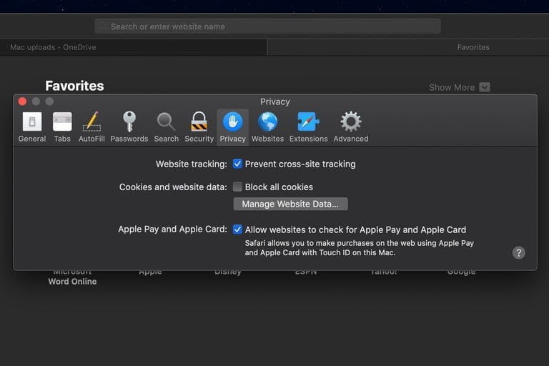 Cómo borrar datos de Safari