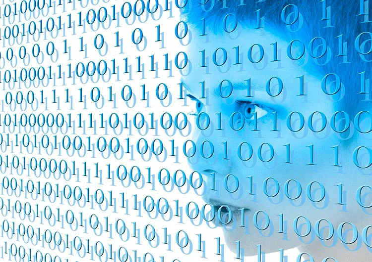Programación web como carrera facil y bien pagada