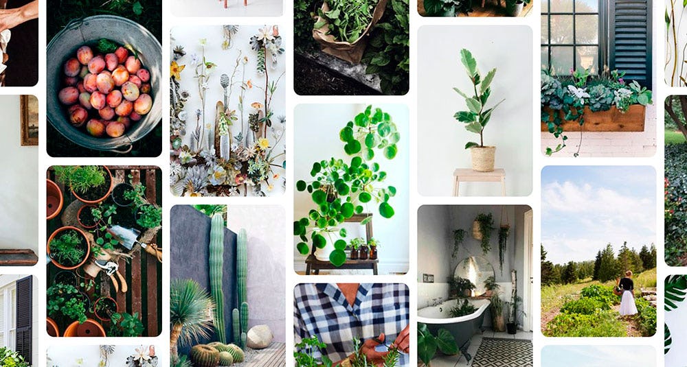 pinterest para empresas feed