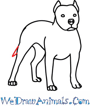 perro completo pitbull dibujo