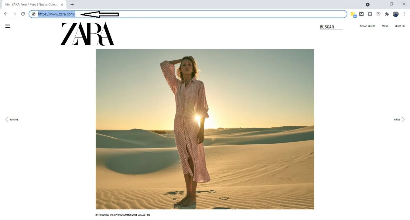 ejemplo de dominio web de Zara