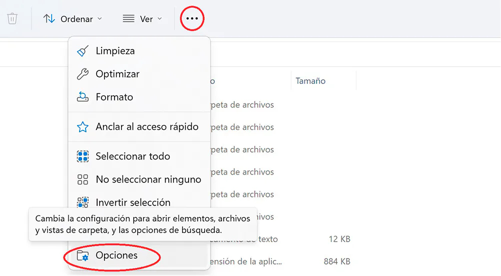 elimina la carpeta de chrome para el fallo de la pantalla negra