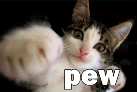 gif de gato Instagram