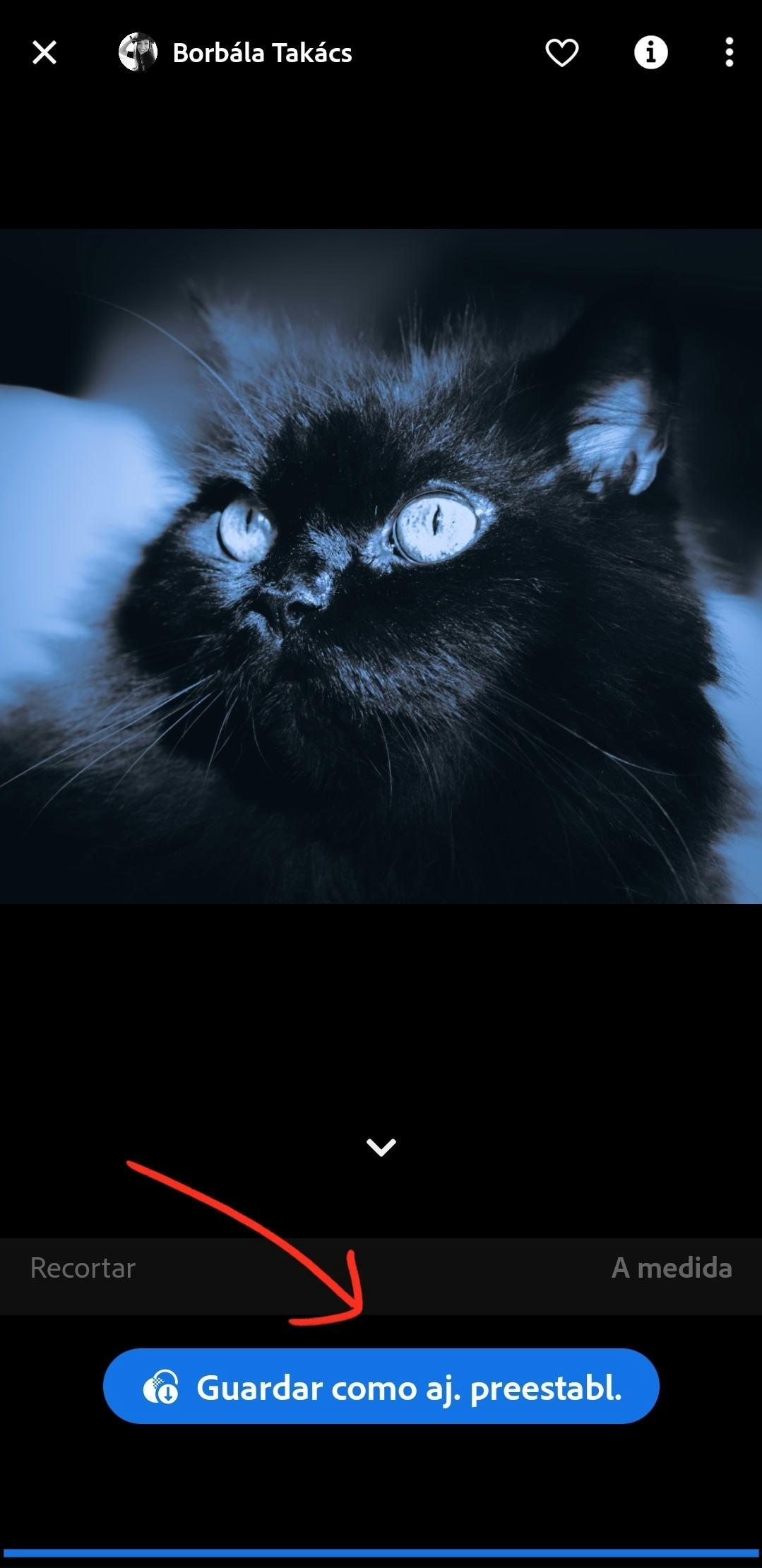 ¿Cómo editar con Lightroom mobile?
