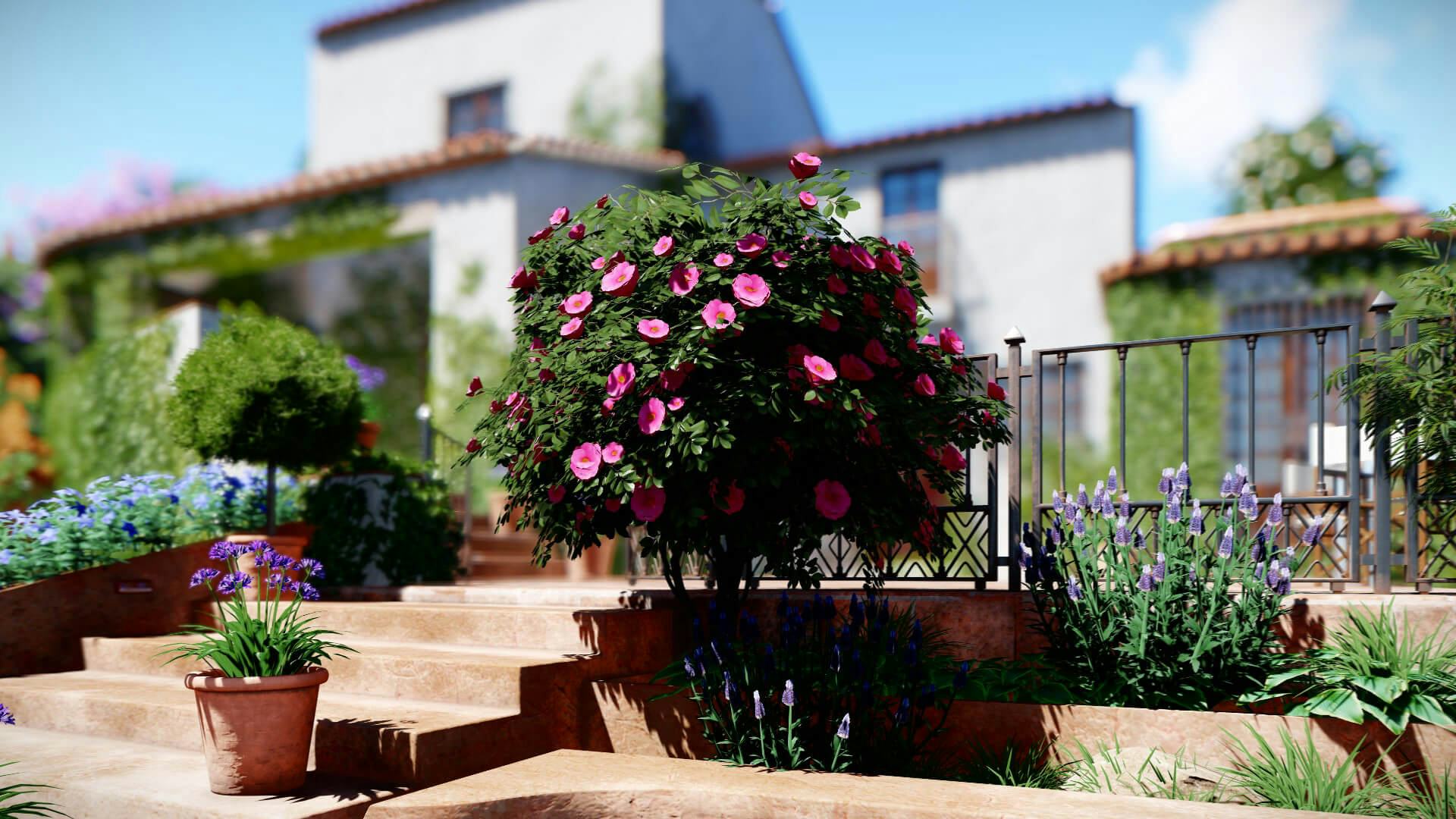 lumion render jardin