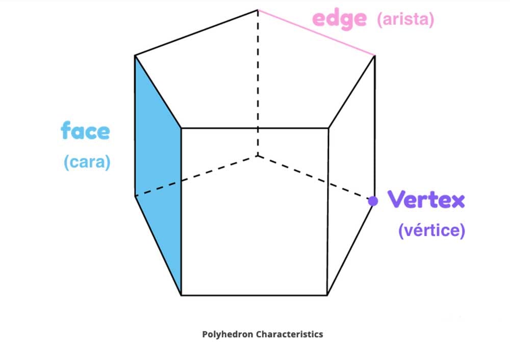Partes de un políedro