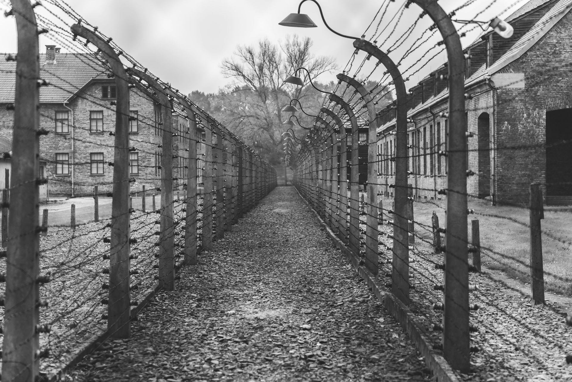 Campo de concentración de Auschwitz