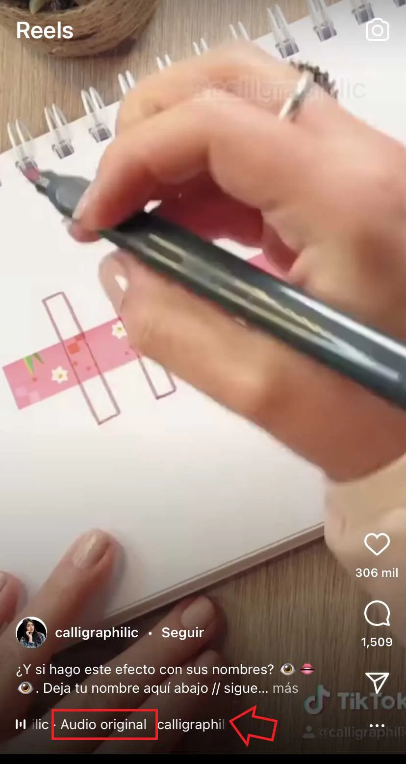 ¿Cómo utilizar un audio original de otro reel?