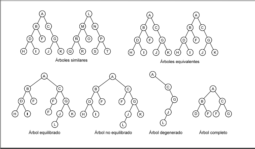 estructura de datos tipos de árboles
