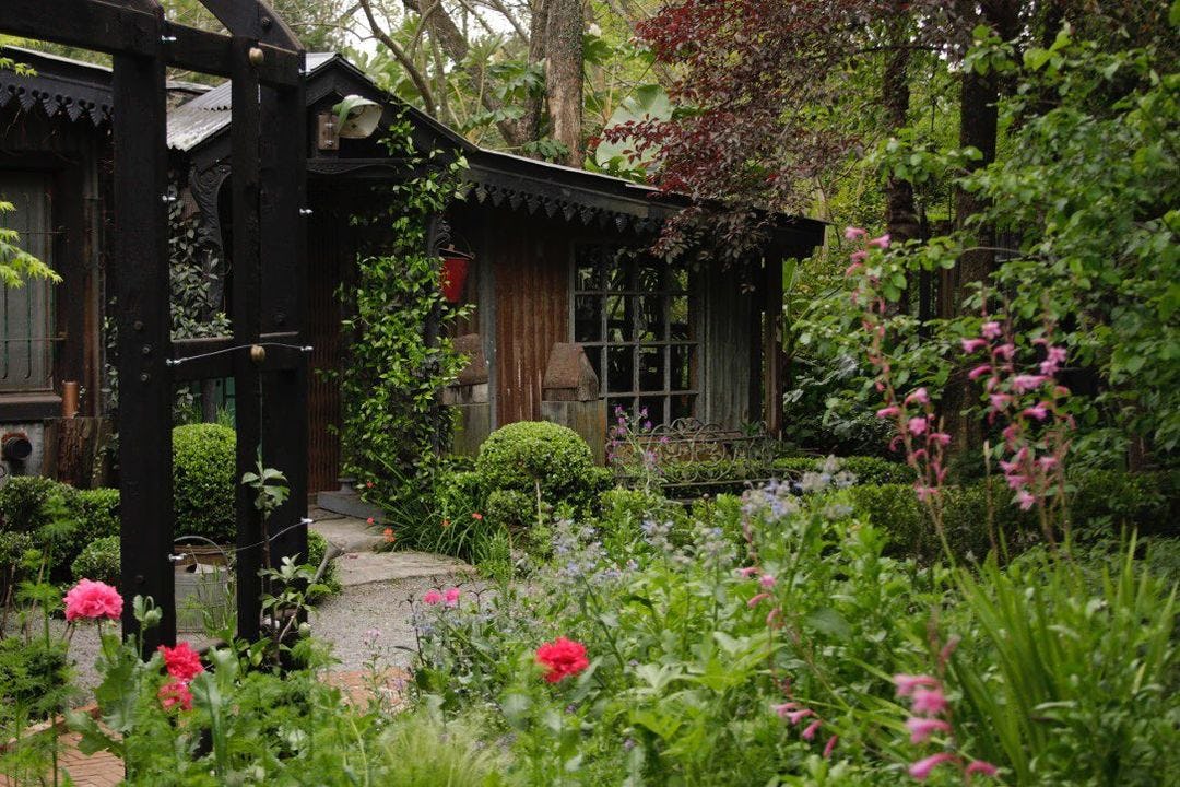 la-flor-azul-paquita-romano