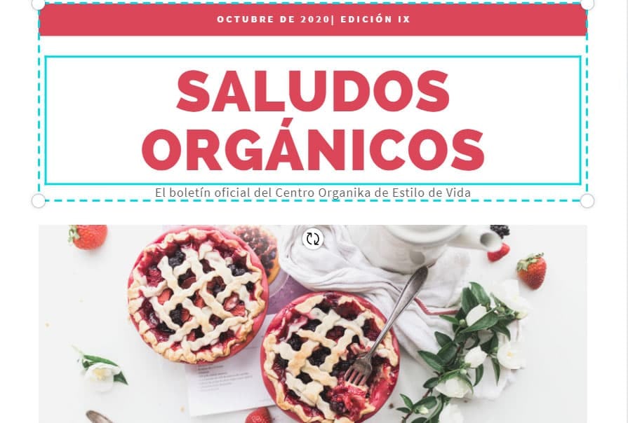 Encabezado del boletín informativo