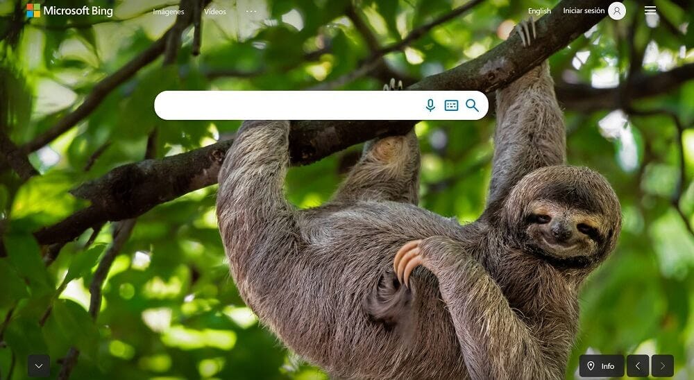 buscador bing landing page