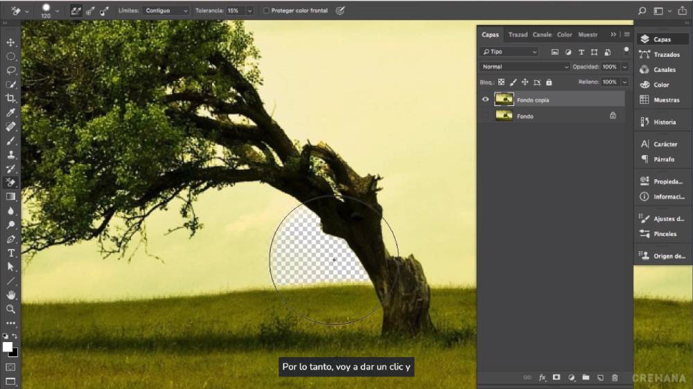 Compartir Más De 89 Quitar Fondo Perfecto Photoshop última - Camera.edu.vn