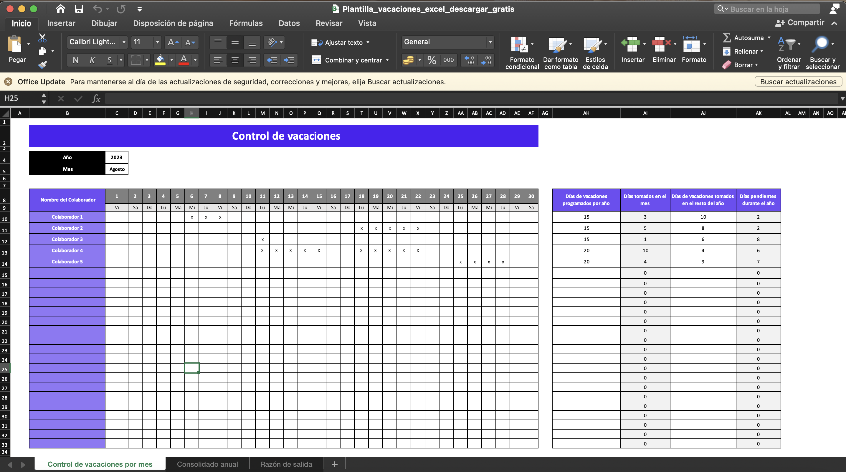 plantilla de vacaciones en Excel 