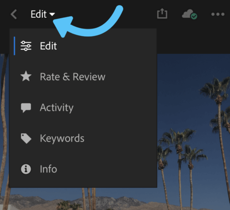 edit mobile preset lightroom