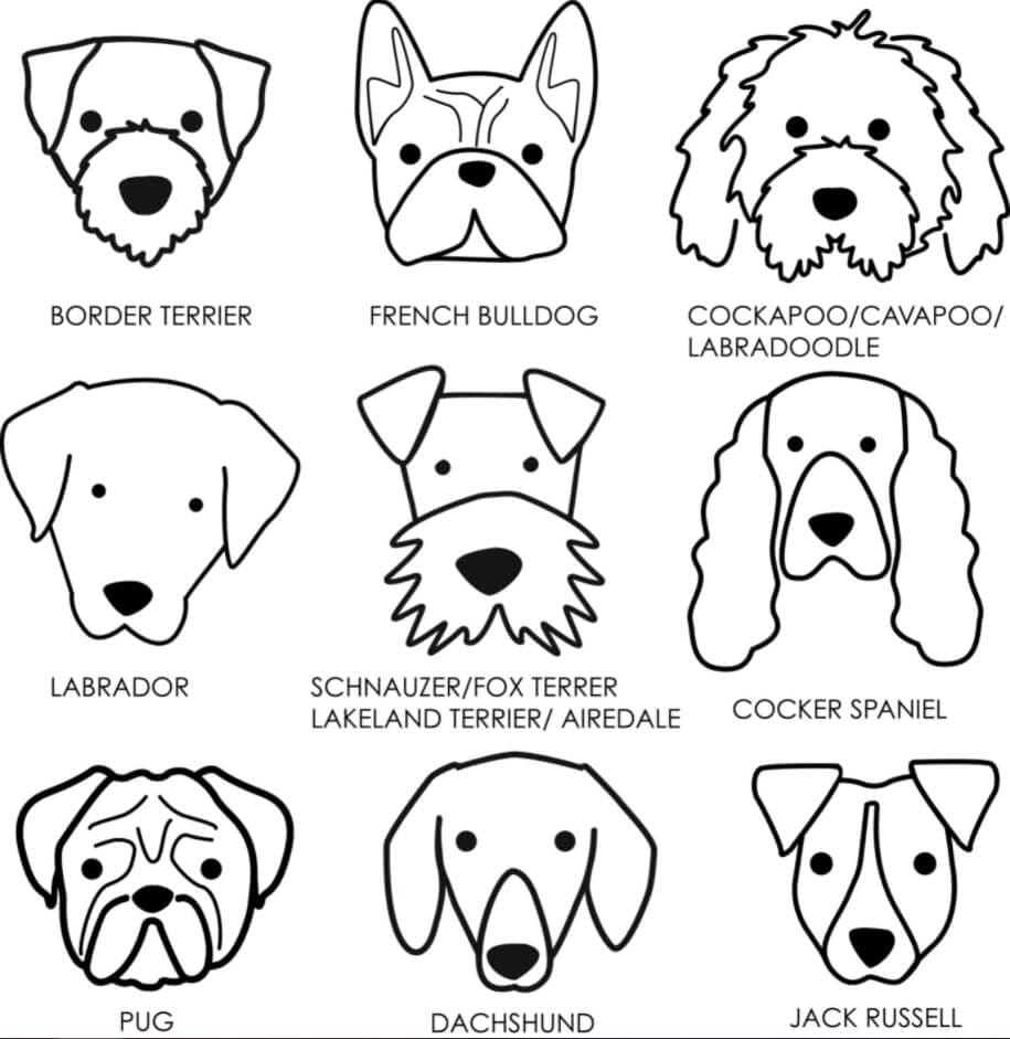 como dibujar la cara de un perro