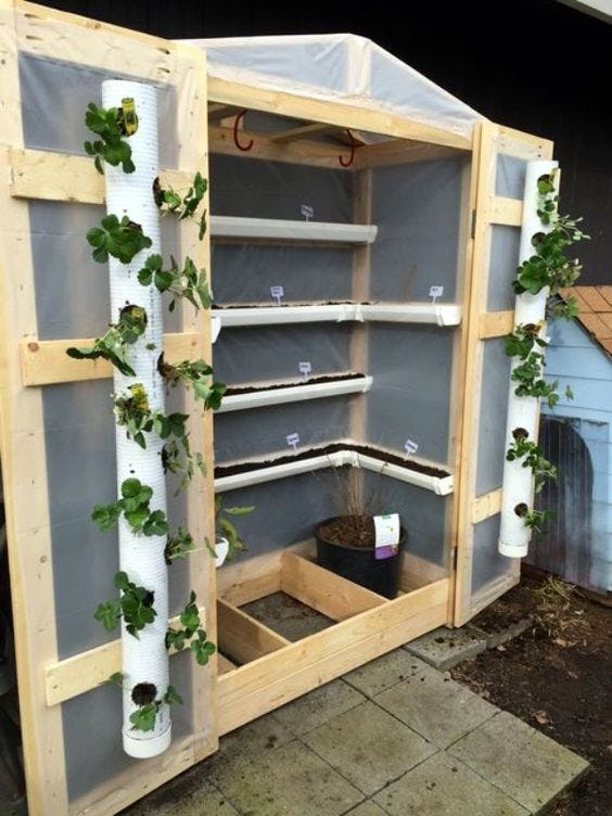 Cómo construir un invernadero en casa en 4 sencillos pasos
