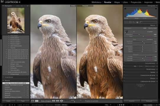 raw en lightroom