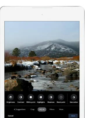 Edición de imágenes Google Fotos