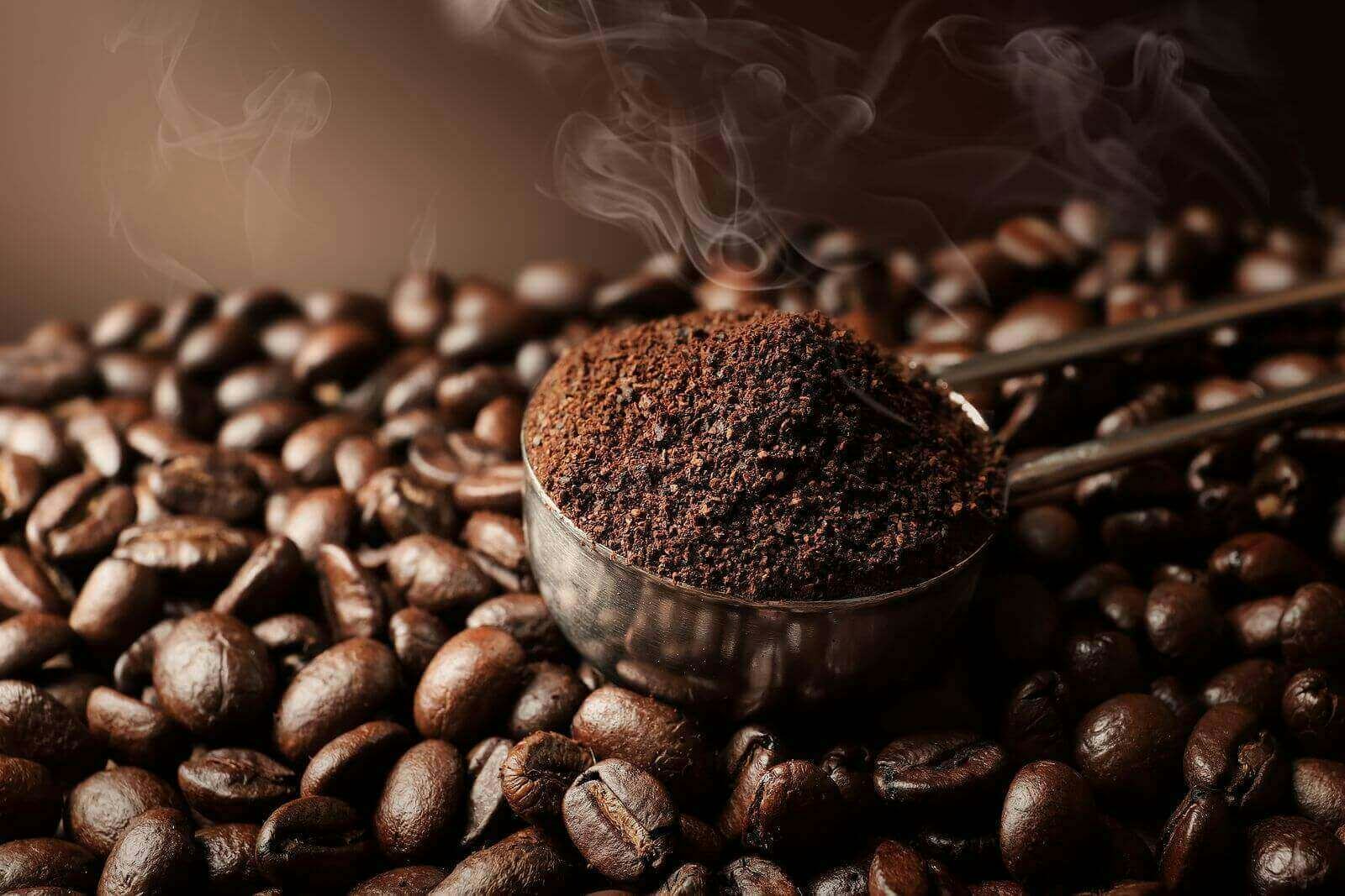 tipos de granos de cafe