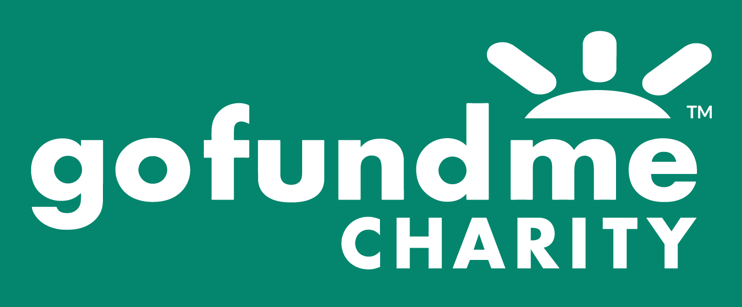 crowdfunding de donacion go found me charity